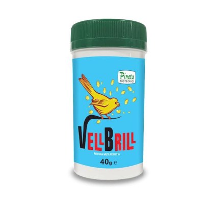 40VEL_resultado_resultado