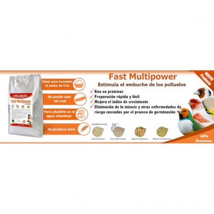 FAST-MULTIPOWER-new_result