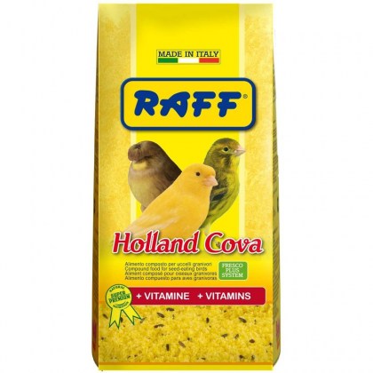 pasta-raff-holland-cova-1kg-bag_result